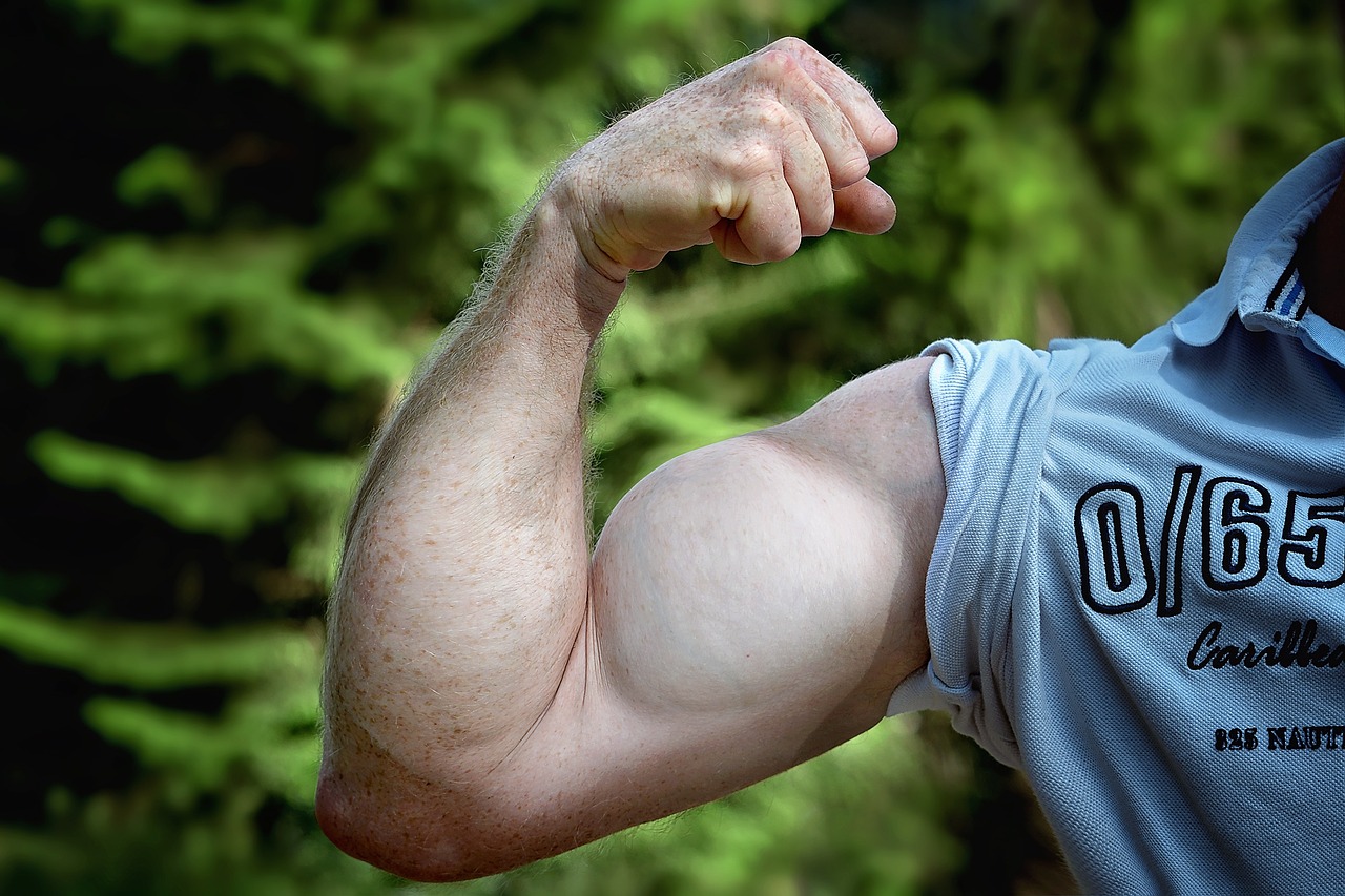 big arm muscles, biceps
